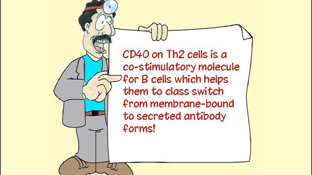 Immunology 14 of 17: Immune Deficiencies, B and T Cell Defects (Part 1) смотреть онлайн