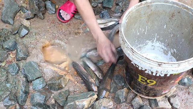 Best Fishing in Hole By Python | How To Catch Unique Fish | Python Catch Big Fish From Hole #009 смотреть онлайн