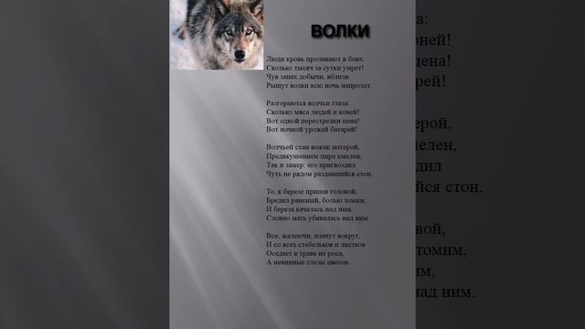 Классный час «Страницы памяти» 3/7 класс Моабитская тетрадь Муса Джалиль смотреть онлайн
