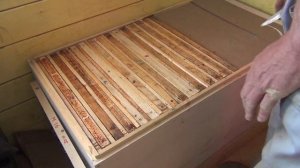 апи домик 17 мая