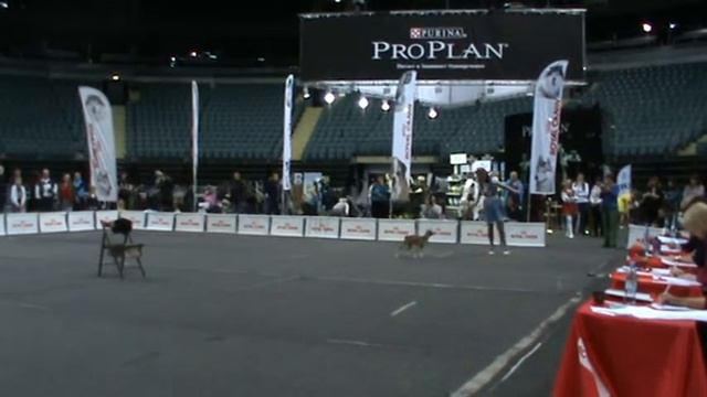 открытый фристайл Сергеева Марина и ИТУРИ ПАЗЗЛ ПЕНЗИМА смотреть онлайн