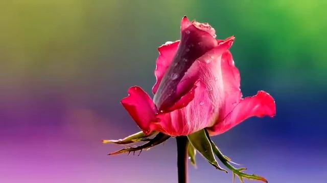 90s 2000s HIPHOP MIX ?? Ice Cube, Dr. Dre, Snoop Dogg, 2Pac, 50 Cent,... ?? Classic Hip Hop Mix смотреть онлайн