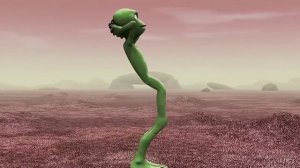 Даме ту косита– Здравствуй опа новый год