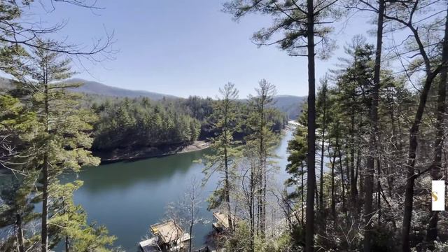 620 Magnolia Drive Blue Ridge, GA смотреть онлайн
