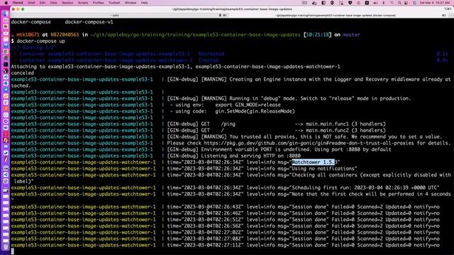 自動升級更新執行中的 Docker 容器解決方案 - watchtower смотреть онлайн