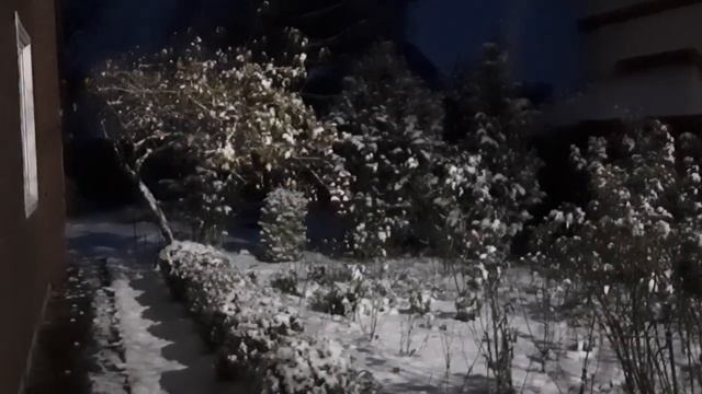 Перший сніг в Києві ! #перший #сніг #ранок #листопад2023