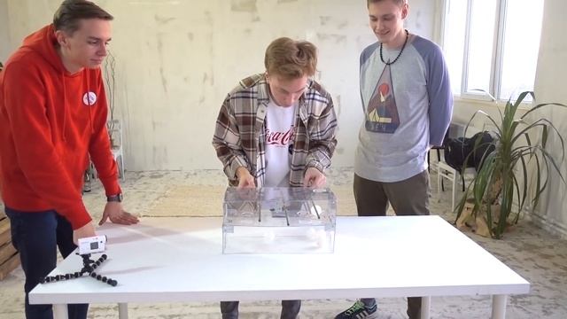 Surprise CUBE, GET it IF you CAN challange! Amazing Experiment with Street Attraction! смотреть онлайн