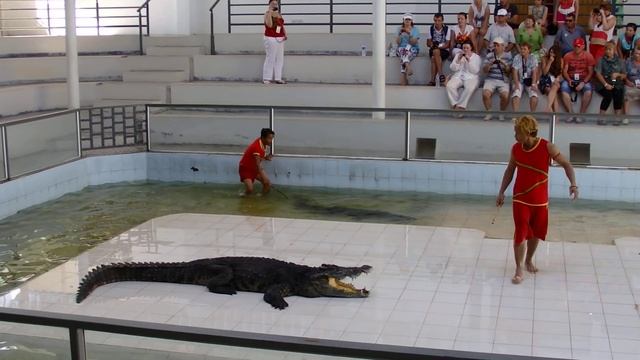 Лучше не смотреть! Бесстрашные тайцы с крокодилами! смотреть онлайн