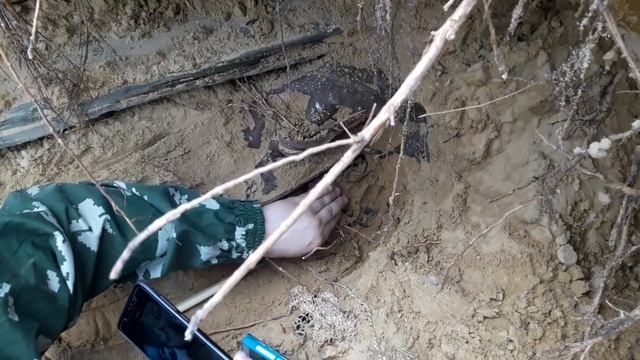 #КЛАД ЗОЛОТО И БРИЛЛИАНТЫ! В ПОИСКАХ КЛАДА И ЗОЛОТА ОТ ВИКЛИНГА! смотреть онлайн