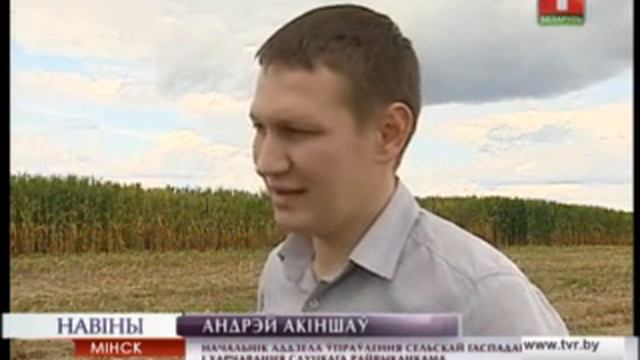 Южные районы Минской области убирают кукурузу смотреть онлайн