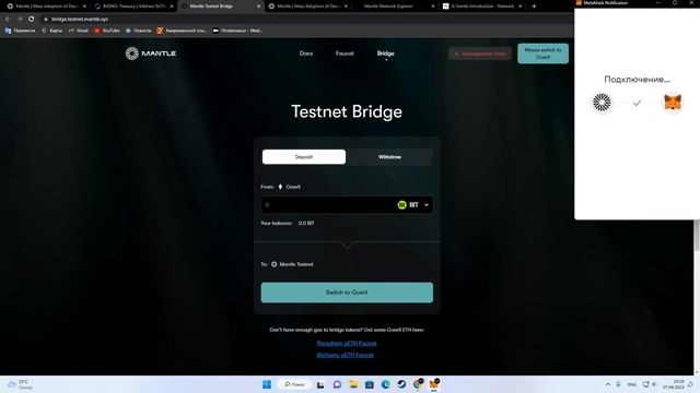 MANTLE NETWORK ОБЗОР ПРОЕКТА смотреть онлайн