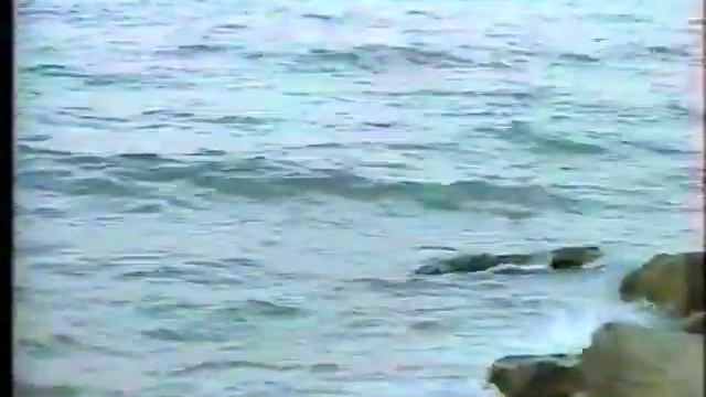 Адамаш т1ом д1а бакха [АРХИВ 1999г] смотреть онлайн