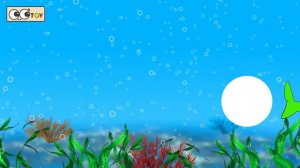 [EN] Colors for children to learn with sharks and whales! animals animation for kidsㅣCoCosToy