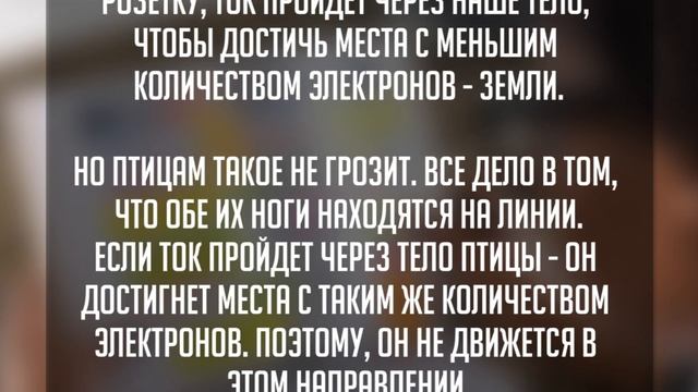ПОЧЕМУ ПТИЦ, КОТОРЫЕ СИДЯТ НА ЛИНИЯХ ЭЛЕКТРОПЕРЕДАЧ, НЕ БЬЕТ ТОКОМ... смотреть онлайн