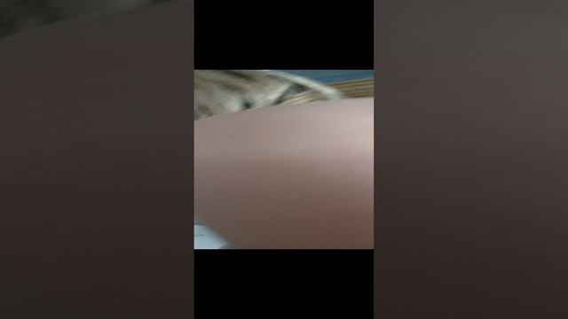 1000003057.mp4 смотреть онлайн
