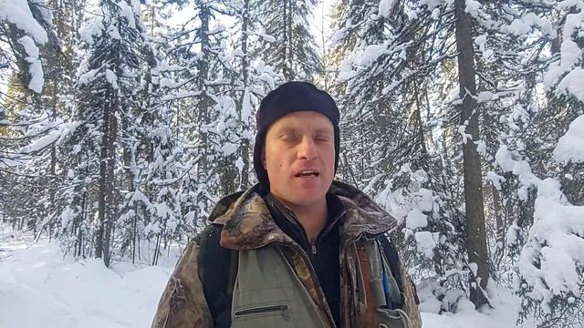 Цена на пушнину? Куда сдать? Сломал лыжи на охоте! смотреть онлайн