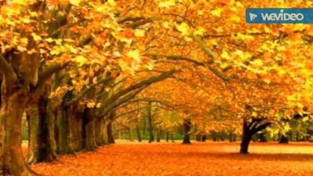 А ГОДЫ ЛЕТЯТ,СЛОВНО ПТИЦЫ...... смотреть онлайн