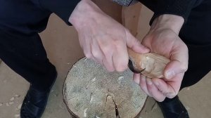 как сделать ложку из дерева.эксперимент.ложка из черемухи.ложка своими руками.