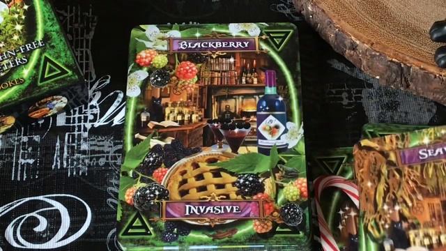 Witches’ Kitchen Oracle + Review смотреть онлайн