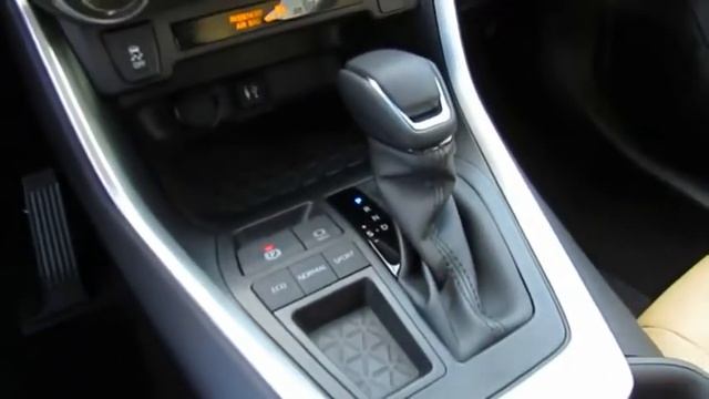 2019 Toyota RAV4 Live Video! Tampa, Wesley Chapel, Brandon, New Port Richey, FL Live  191345