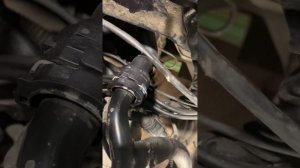 Замена термостата ALT 2,0 Ауди А4 В6