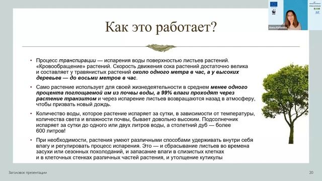 Биоразнообразие и климат смотреть онлайн