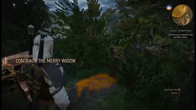 The Witcher 3 Wild Hunt Next Gen - The Merry Widow (Velen) смотреть онлайн