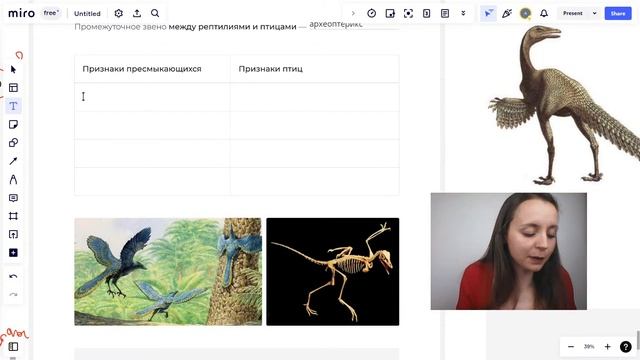 ПЕРЕХОДНЫЕ ФОРМЫ В ЭВОЛЮЦИИ ЖИВОТНЫХ И РАСТЕНИЙ ЕГЭ БИОЛОГИЯ 2023 | онлайн-школа ноо смотреть онлайн