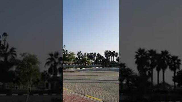 Поздравление моего друга Аль -Таиба с Фуджейры Эмираты ! 11 ноября смотреть онлайн