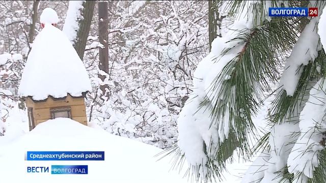 Сельский туризм развивает фермерское хозяйство в Среднеахтубинском районе смотреть онлайн