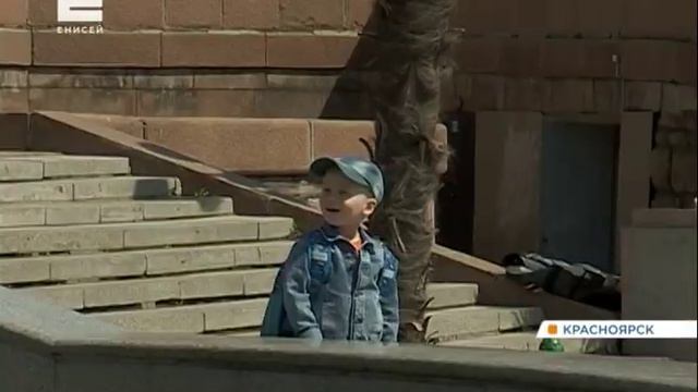 На улицах Красноярска появились пальмы и туи смотреть онлайн