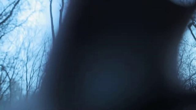 Около канала имени Москвы, видео от 2015.02.21 смотреть онлайн