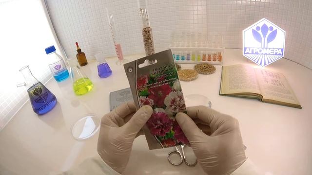Гвоздика Китайская Мон Амур. Ваше Хозяйство смотреть онлайн