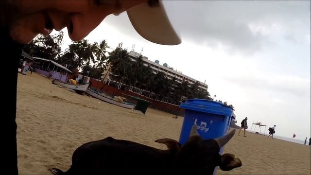 Закрытие сезона подводной охоты в Гоа. Май 2018. смотреть онлайн