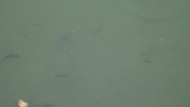 Горячинск 2013 смотреть онлайн