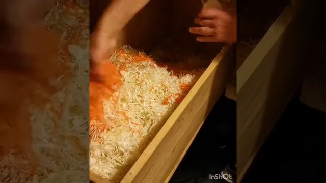 Квашеная капуста в бочке смотреть онлайн