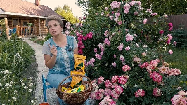 Для чего нужны разные удобрения | Кормите ваши растения правильно смотреть онлайн