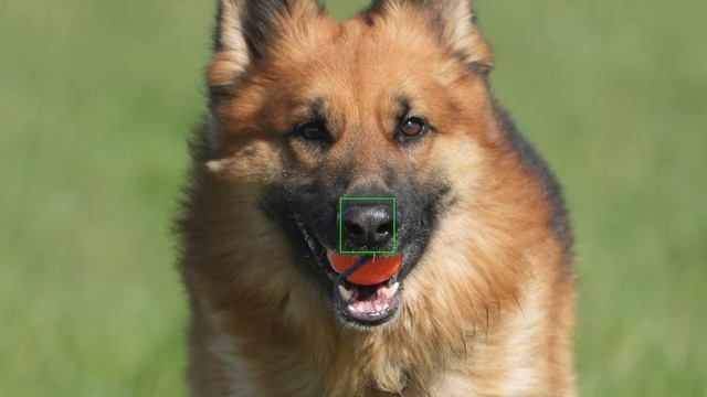 Sony 70-200 F2.8 GM II + 2x Tele VS Sony 100-400 GM AF Comparison With the Sony A7 IV смотреть онлайн