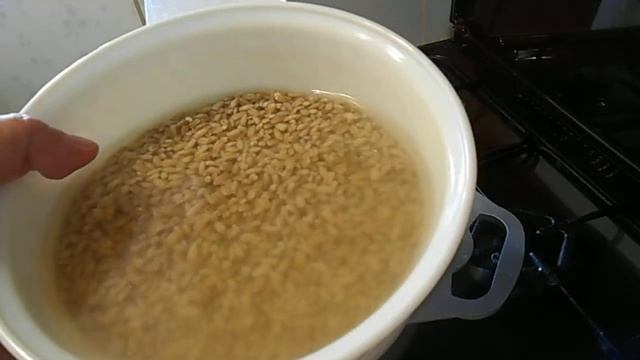 Похлёбка из перловки с говяжьими косточками | начало готовки