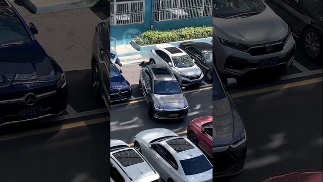 BYD Tang DM-p - Reverse The Car Into The Parking Space 2023