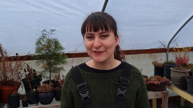 Should you buy big or small plants for your landscape design project? смотреть онлайн