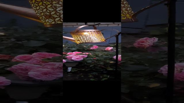 Пение цикад