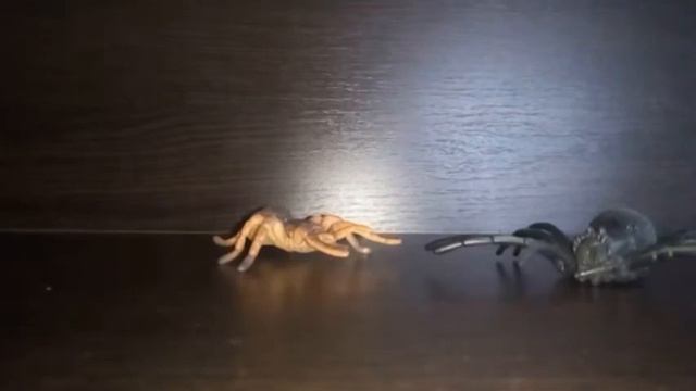 Щенячий патруль против пауков смотреть онлайн