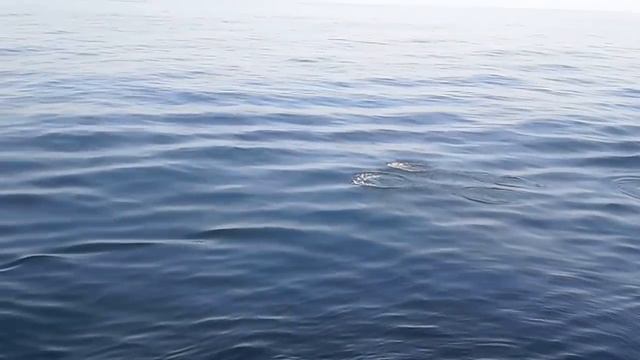 Когда хочешь прыгнуть выше всех смотреть онлайн