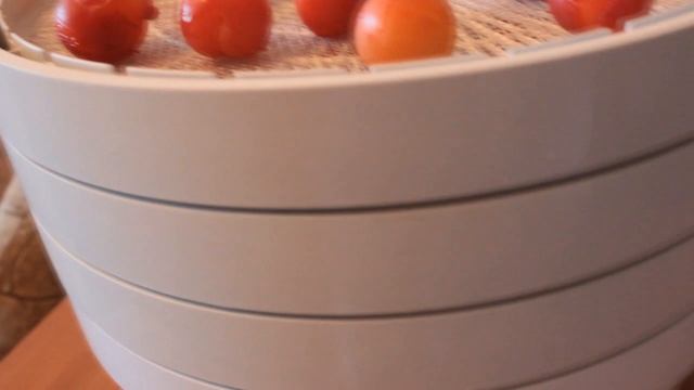 БАКЛАЖАНЫ на ЗИМУ как ГРИБЫ!!?СУШИМ НА ЗИМУ АЛЫЧУ?Теперь Сушу только так!??? смотреть онлайн