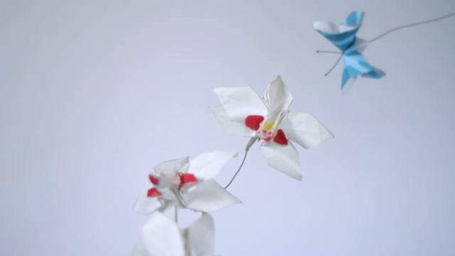 animales en origami, Beatriz García-Jimenez смотреть онлайн