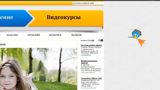 Твиттер птичка, летающая по блогу смотреть онлайн