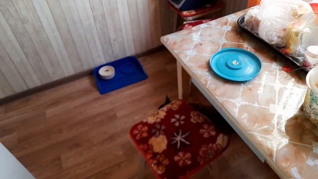 Да здравствует ручная стирка!!????. Навела порядок в документах. #влог,#будни,#wildberries смотреть онлайн