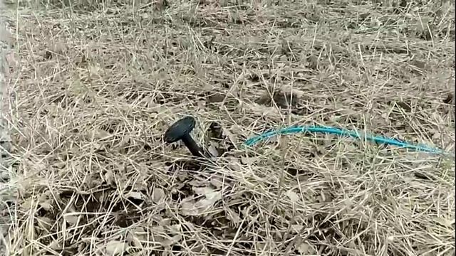 Испытание грузинского якоря в поле смотреть онлайн