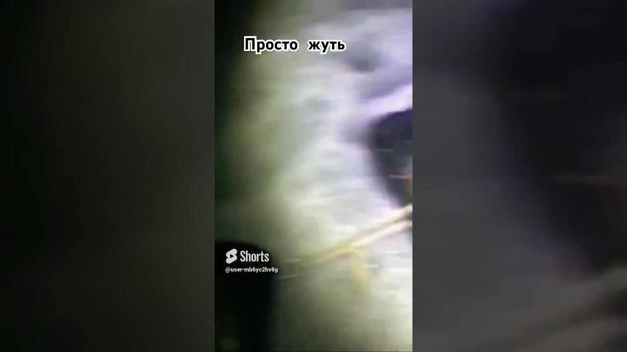 Что творят дураки не думая про завтра.Озеро Синара #снежинск #рыбалка2024 #помощьрыбакам #лещ смотреть онлайн